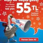 Vuelos baratos con Turkish Airlines 2015 2016