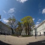 El Museo Hermitage de San Petersburgo 5